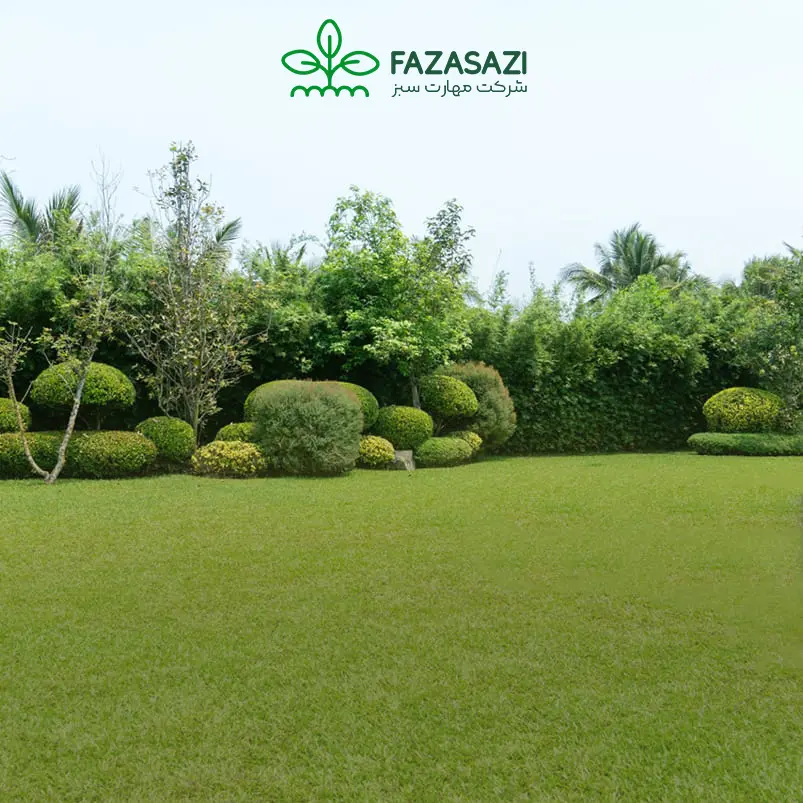 lihvj-sfc-1 copy5524