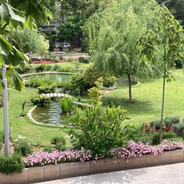 برکه و آب نما