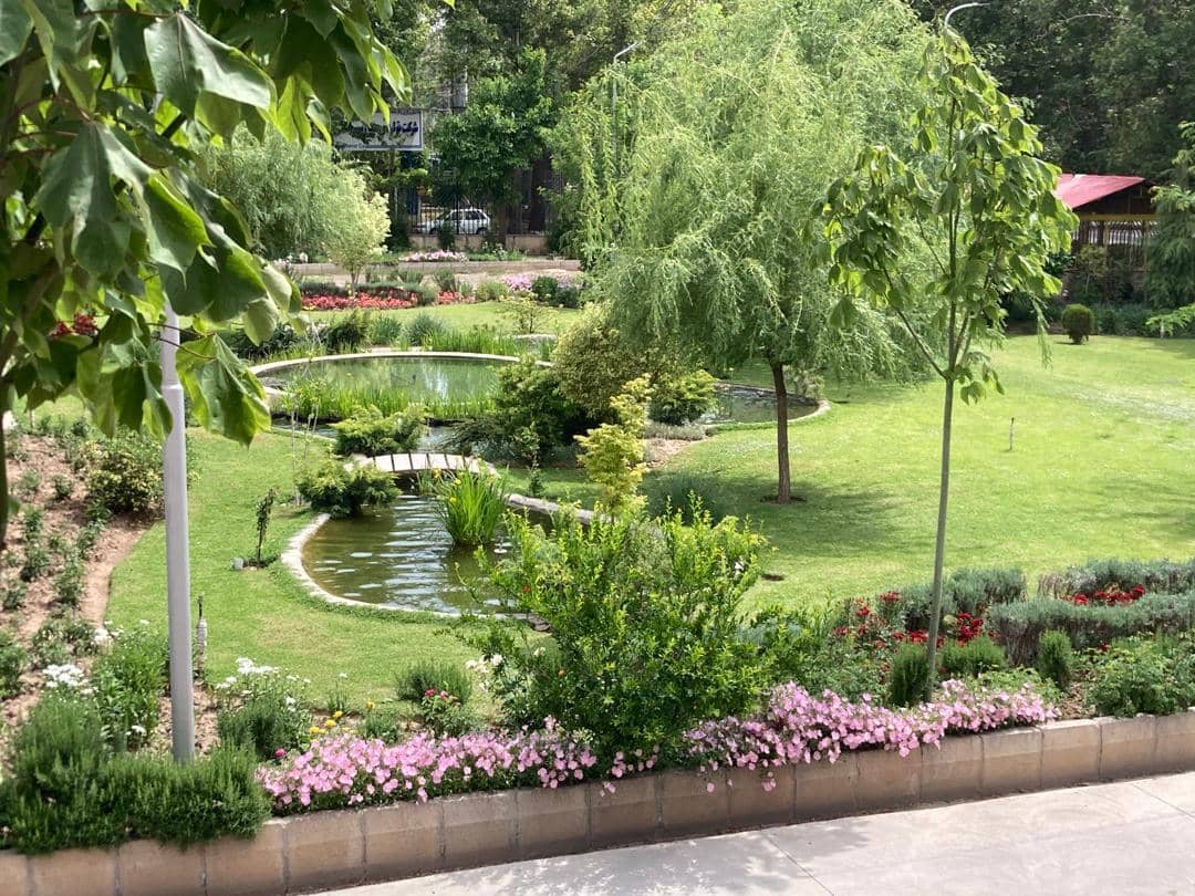 برکه و آب نما