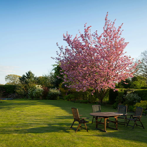 جدید ساخت (1)