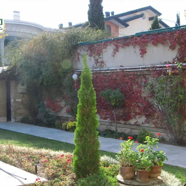 محوطه سازی باغغ ویلا