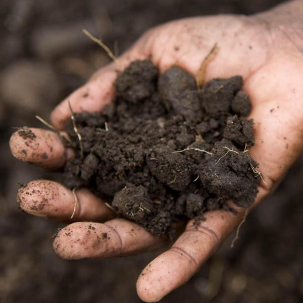 سرند تک نشده (1)