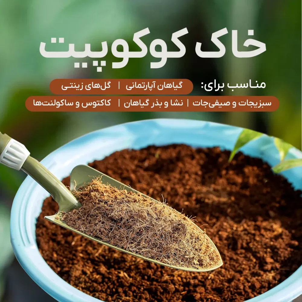 خاک کوکوپیت (1)