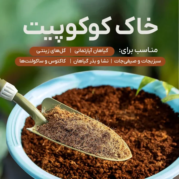 خاک کوکوپیت (1)