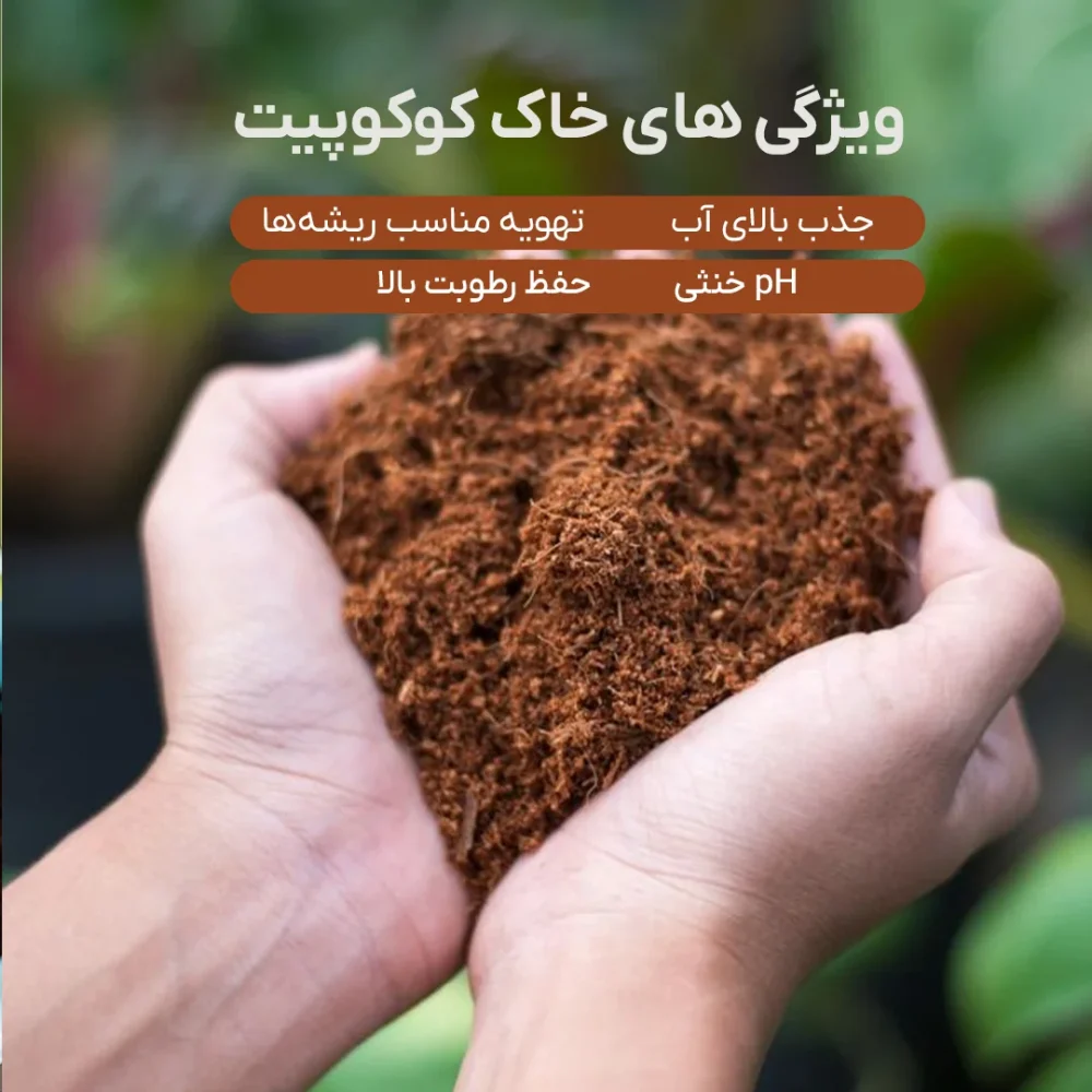 خاک کوکوپیت (2)