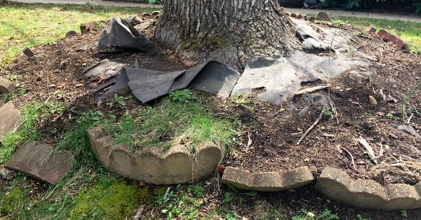 محوطه سازی غیر اصولی 