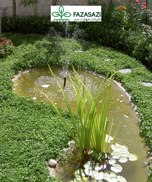 آبیاری محوطه