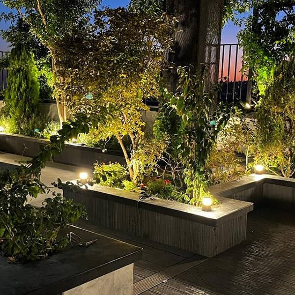 نمای روف گاردن درشب (2)