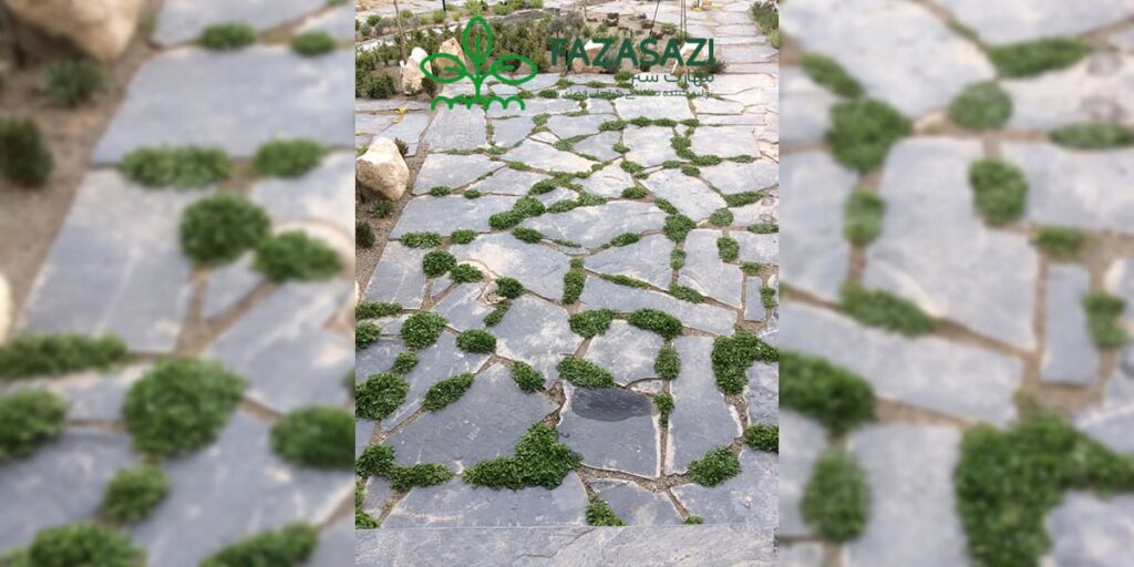 نمونه کفسازی محوطه