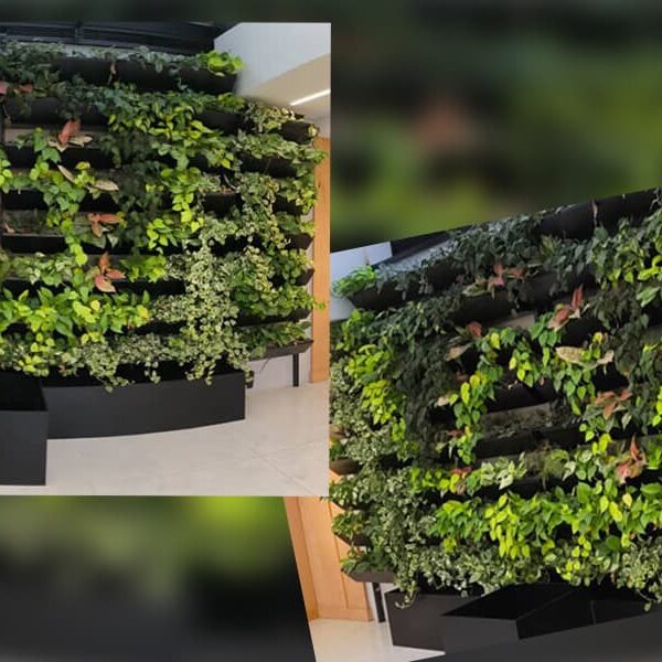 دیوار سبز یا گرین وال