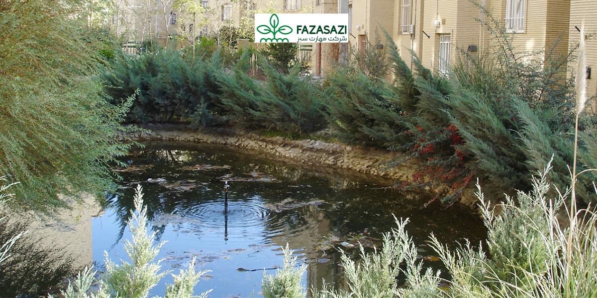 گیاهان محوطه