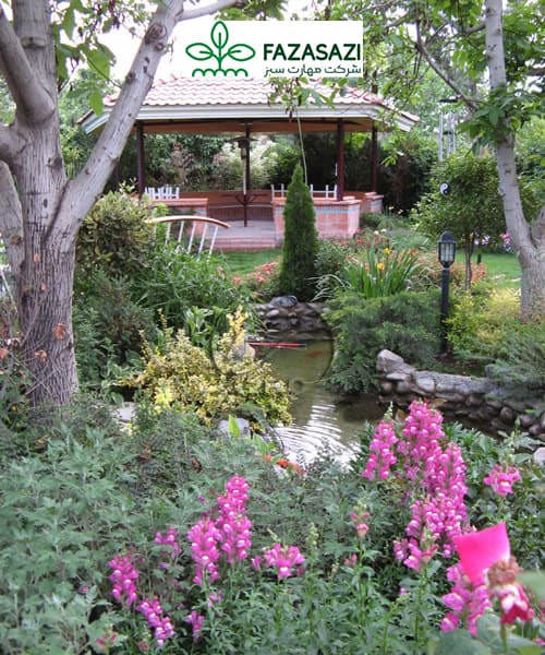 گیاهان محوطه