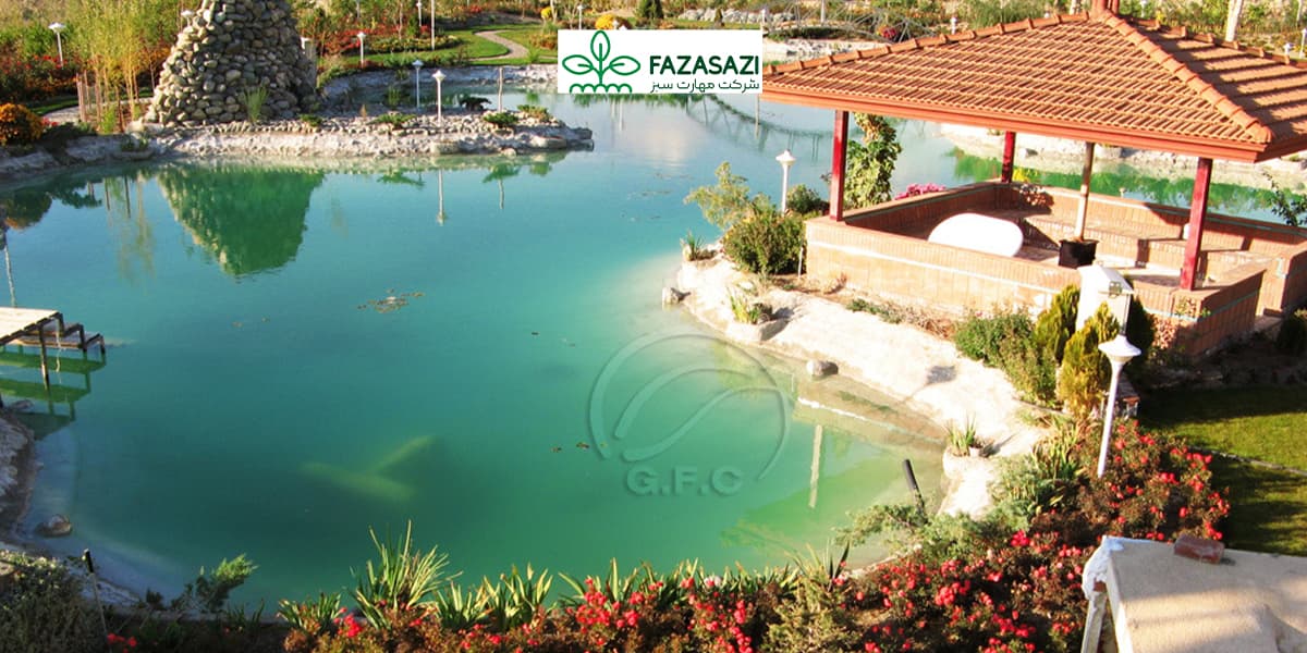 گیاهان و محوطه سازی