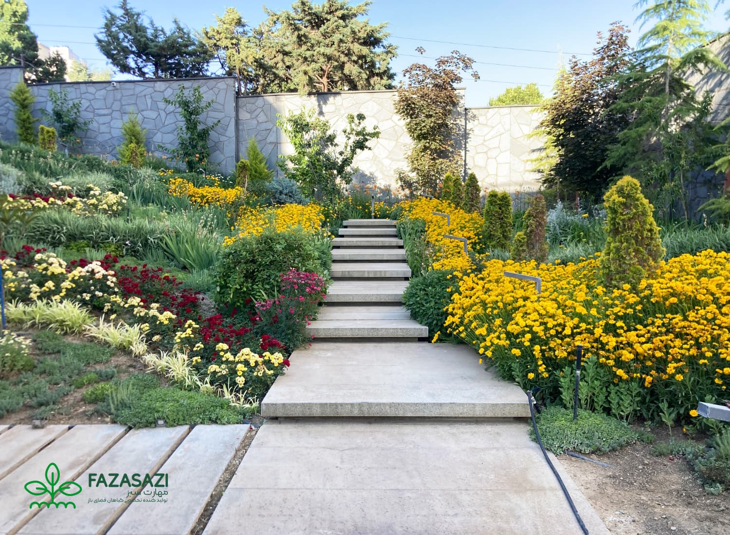 محوطه سازی با گیاهان در حیاطز